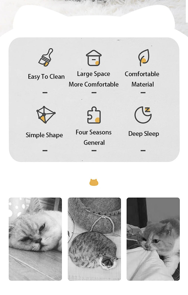 Cat Head Shaped House