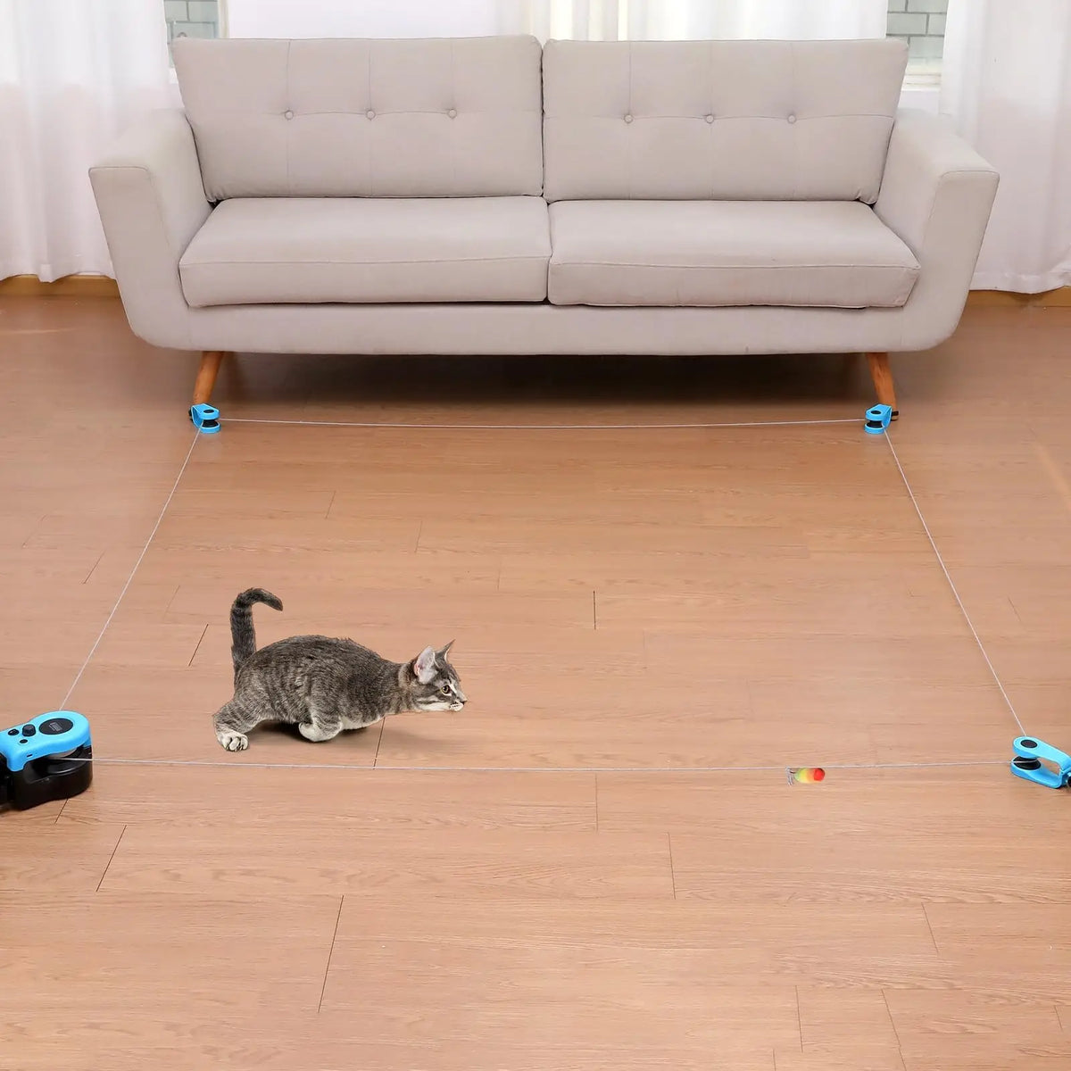 Cat Toy Sprinting and Hunt