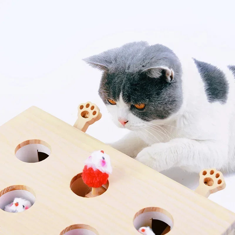 Cat Hunt Puzzle