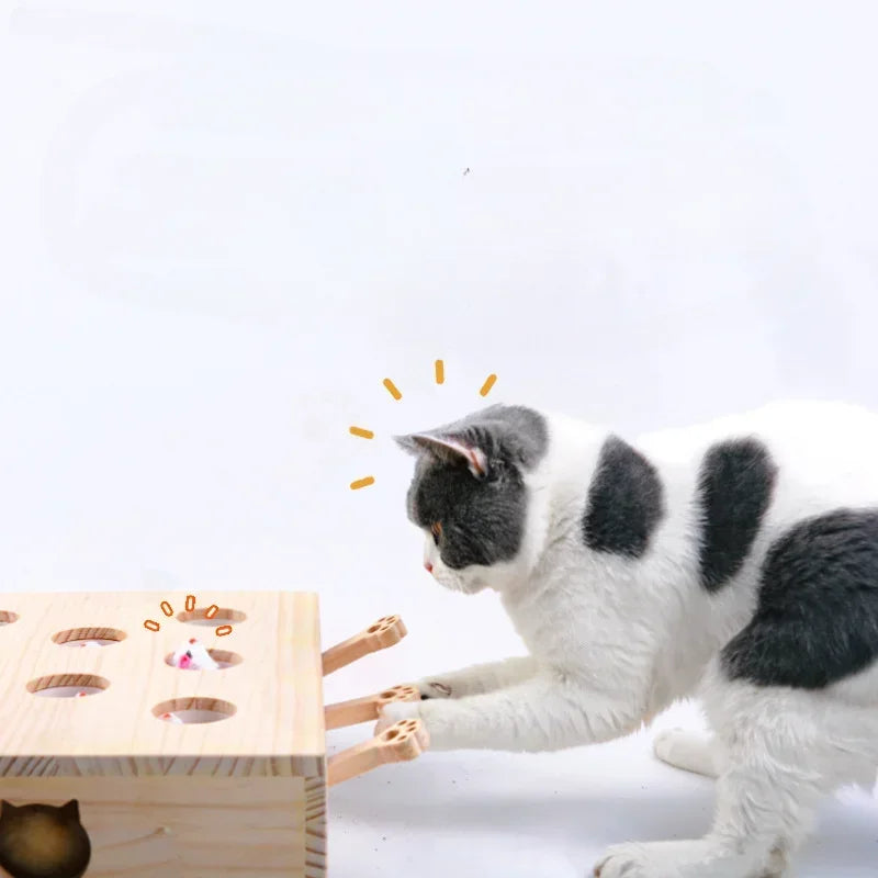 Cat Hunt Puzzle
