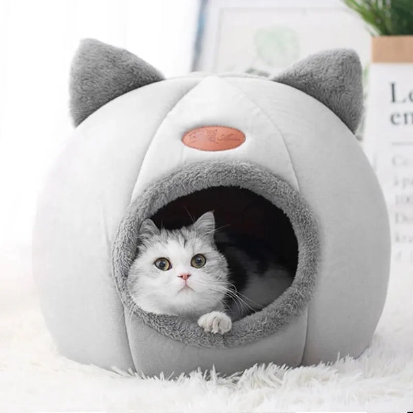 Cat Head Shaped House