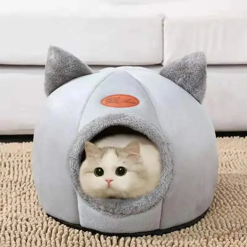 Cat Head Shaped House